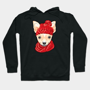 Chihuahua breed in knitted hat and scarf Hoodie